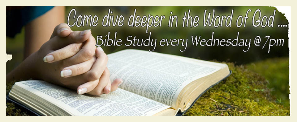Dive Deeper in the Word of God...